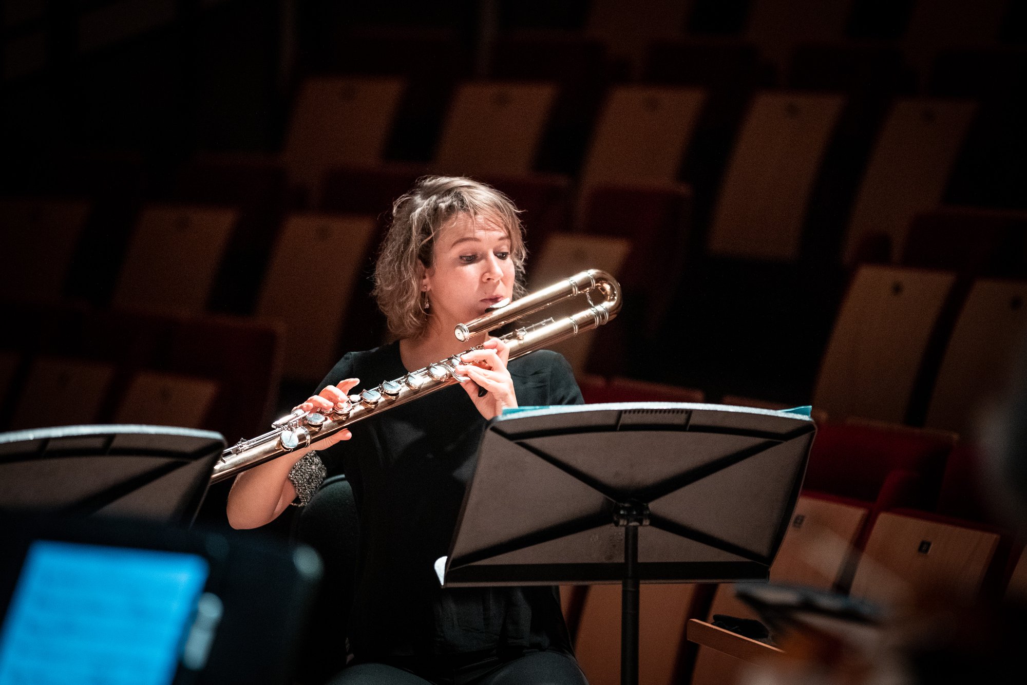 «TRIBUTE TO WILFRIED WESTERLINCK   AND CLAUDE LEDOUX»